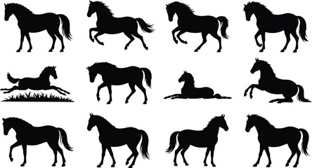 Fototapeta premium Collection of horse silhouettes in various poses and movements