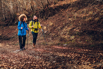Obraz premium Hikers walking in forest during autumn, enjoying nature and trekking