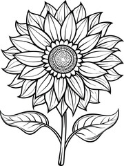 sunflower outline vector illustration on white background