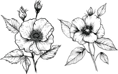 Monochrome Floral Art for Logos and Prints, Stylized Single Rose for Tattoo and Apparel Designs.
