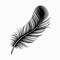 Obraz premium feather isolated on white background