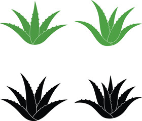 Aloe Vera Plant Vector Set | Herbal Green and Black Aloe Clipart for Natural and Organic Design