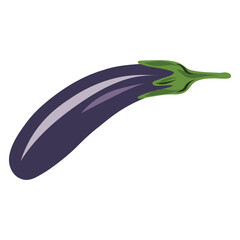 Curved eggplant vector illustration. Aubergine artwork, slender eggplant. Fresh eggplant ingredient illustration