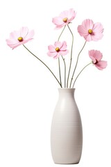 Flower vase blossom petal.