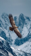 An eagle flies effortlessly over snow-covered mountain peaks, a true symbol of freedom.