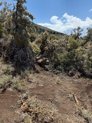 Fototapeta premium Sierra Nevada Mountain Views, BLM landscape,