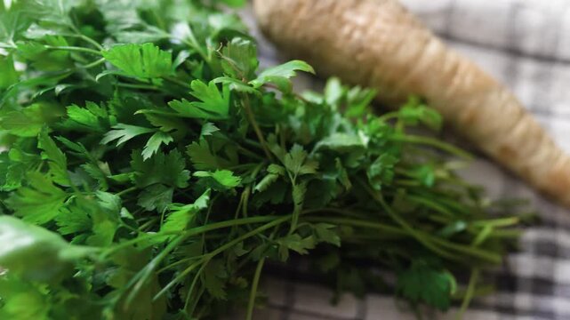 Hand with parsley at a window. Window garden concept.