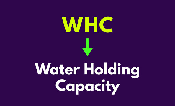 WHC Meaning, Water Holding Capacity