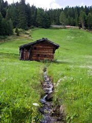 Rustic cabin in the mountains of South Tyrol surrounded by greenery.