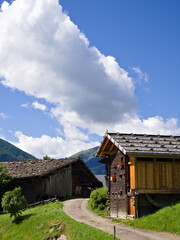 Picturesque rural homes in an alpine landscape under blue sky.