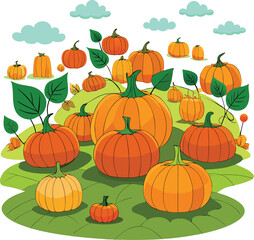 : pumpkin patch with scattered pumpkins clean whi.