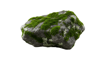 Large grey rock densely covered in vibrant green moss and light lichen, detailed natural textures, on a soft neutral background with subtle shadows and bokeh, concept of enduring strength and