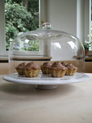 Homemade hazelnut muffins with chocolate frosting under glass dome.