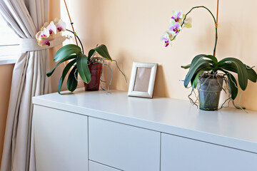 Mockup. Chest of drawers in interior. Elegant interior scene featuring two orchid plants in pots on sleek white cabinet, near by soft peach wall, creating serene and inviting atmosphere in room