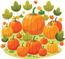  pumpkin patch with scattered pumpkins clean whit