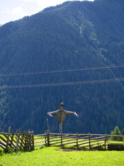 Scarecrow in a green mountain field, rustic countryside harvest scene