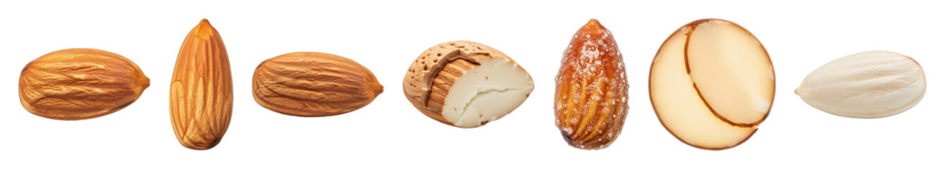 Almond set including in-shell, shelled, cracked, and blanched kernels isolated. Healthy snack and ingredient collection.
