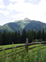 Scenic alpine meadow with wooden fence and forest in South Tyrol, Italy.