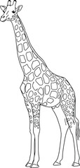 Line Giraffe Illustration, Tall African Animal on Plain Background