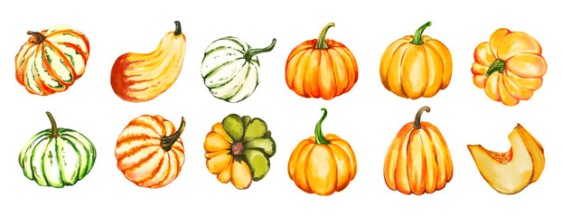 Hand drawn pumpkin set, colorful in different varieties, ripe autumn vegetables, fall design elements, Thanksgiving and Halloween. Watercolor illustration on transparent background.