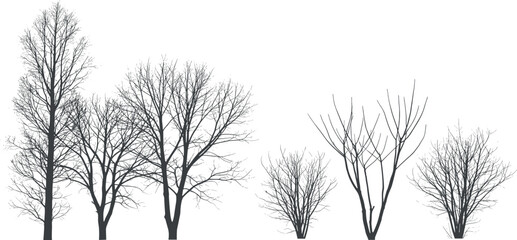 Obraz premium Bare trees silhouette art composition for design and concept visualization with negative space and isolated objects