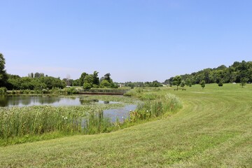 The quiet lake in the park on a sunny day.