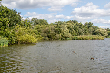 Fleet Pond Local Nature Reserve