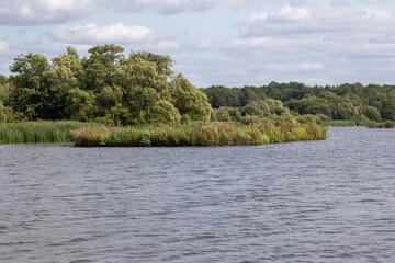 Fleet Pond Local Nature Reserve