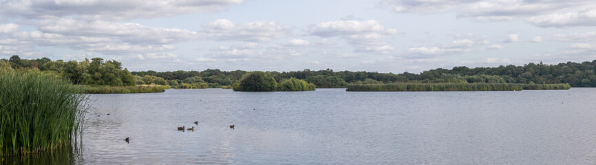 Fleet Pond Local Nature Reserve