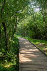 Fototapeta premium Fleet Pond Local Nature Reserve