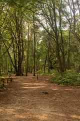 Fleet Pond Local Nature Reserve