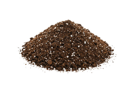 A pristine mound of dark brown soil with white perlite granules, centrally positioned on a clean, transparent background, high-angle top-down studio shot, concept of foundational growth and