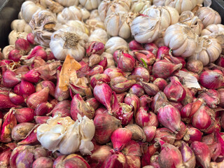 Fresh Garlic and Shallots Pile for Cooking Ingredients