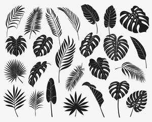 Collection of black tropical palm leaves and monstera leaves on white background