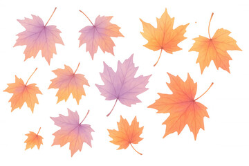 Obraz premium Colorful maple leaves falling on a transparent background, creating a vibrant autumn scene, perfect for seasonal designs
