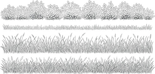 Detailed line art illustrations of lush green grass and flowering bushes, representing nature's bounty in a simple, elegant design