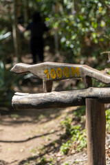 Rustic wooden sign in the forest indicating 1000 meters – hiking trail marker in Brazil