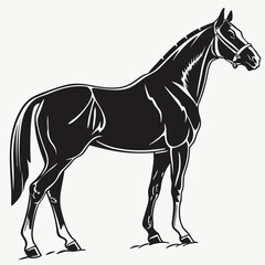 Black horse vector illustration