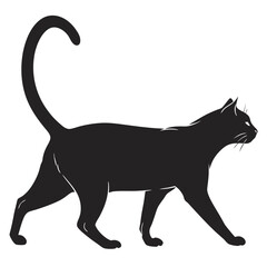 black cat silhouette