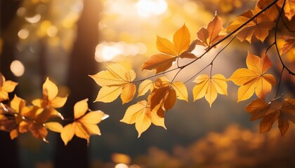 the vibrant autumn leaves gently swaying on a delicate branch in sunlight