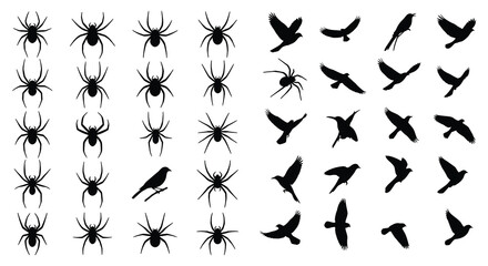 Black silhouettes of spiders and birds on a white background