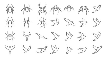 A collection of hand drawn spiders and birds in various poses and styles