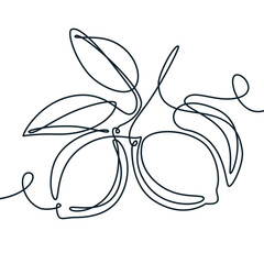 Monoline lemon branch. Vector continuous line illustration of citrus tropical fruits. Design for label, packaging, print