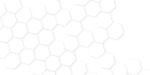 Naklejka premium Abstract background with hexagon, modern abstract vector polygonal pattern. Futuristic honeycomb mosaic white background,white and gray hexagon honeycomb geometric copy space.
