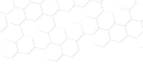 Abstract background with hexagon, modern abstract vector polygonal pattern. Futuristic honeycomb mosaic white background,white and gray hexagon honeycomb geometric copy space.