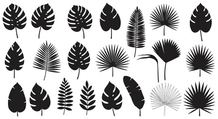 Collection of various tropical leaf silhouettes on white background
