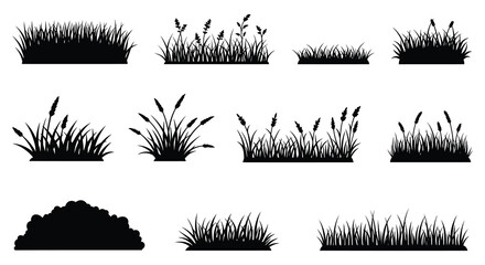 Collection of various grass silhouettes and vegetation on white background
