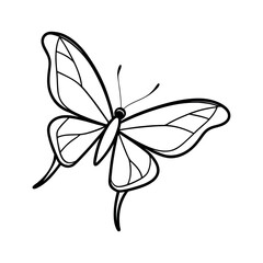 Glasswing Butterfly Side View Outline Vector