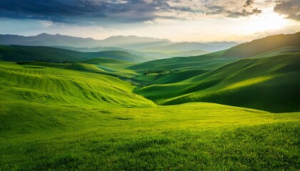 Obraz premium serene green abstract nature landscape