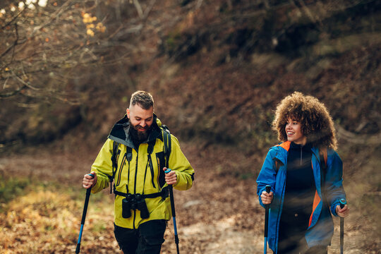 Hikers walking in forest using trekking poles and backpacks